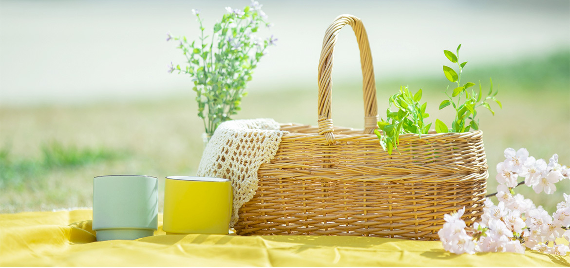栃木県小山市犬塚 小山駅 胃腸内科 外科 肛門外科 内科